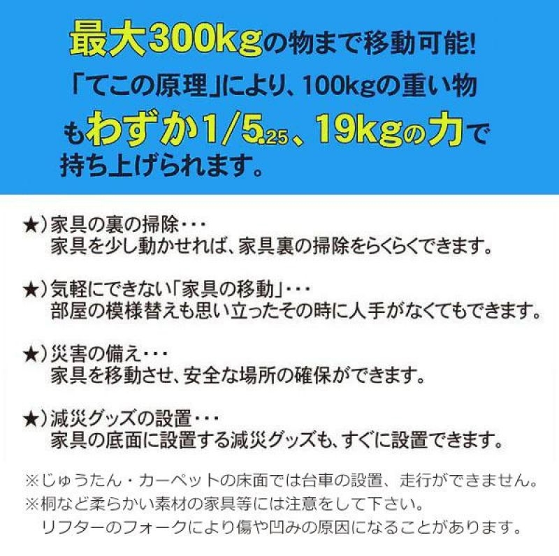 PICUS 炭炭wp[Zbg 炭炭Ƌړ