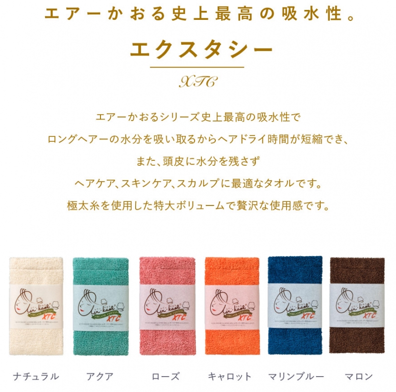 KCA̖閾ŏЉꂽGA[